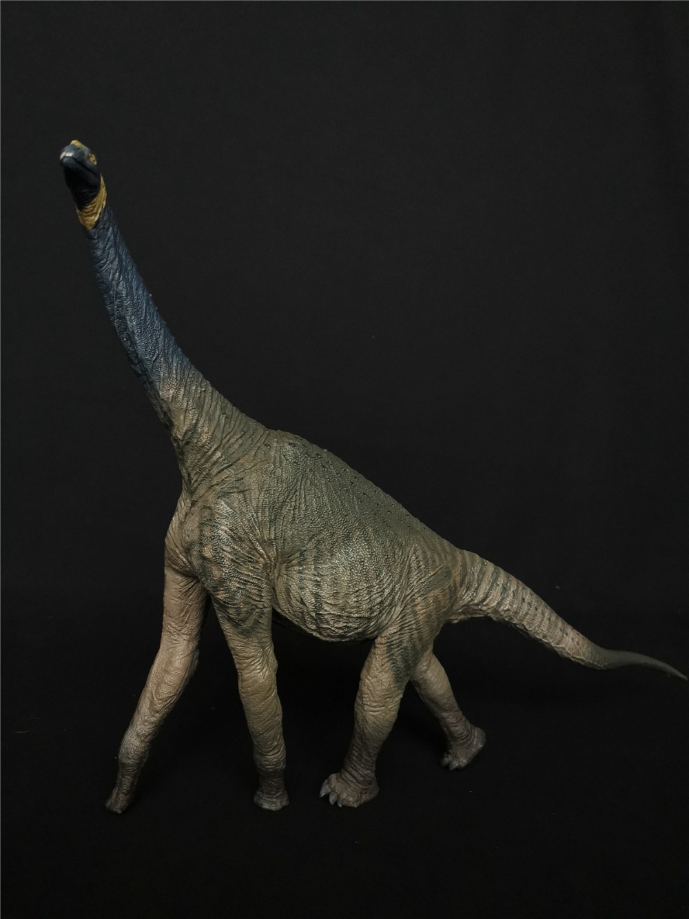 IN STOCK Eofauna 1:40 Scale Atlasaurus Figure Sauropoda Dinosaur Model Toys Collector Prehistoric PVC Animal Gift for Kids Adult IN STOCK Eofauna 1:40 Scale Atlasaurus Figure Sauropoda Dinosaur Model Toys Collector Prehistoric PVC Animal Gift for Kids Adult