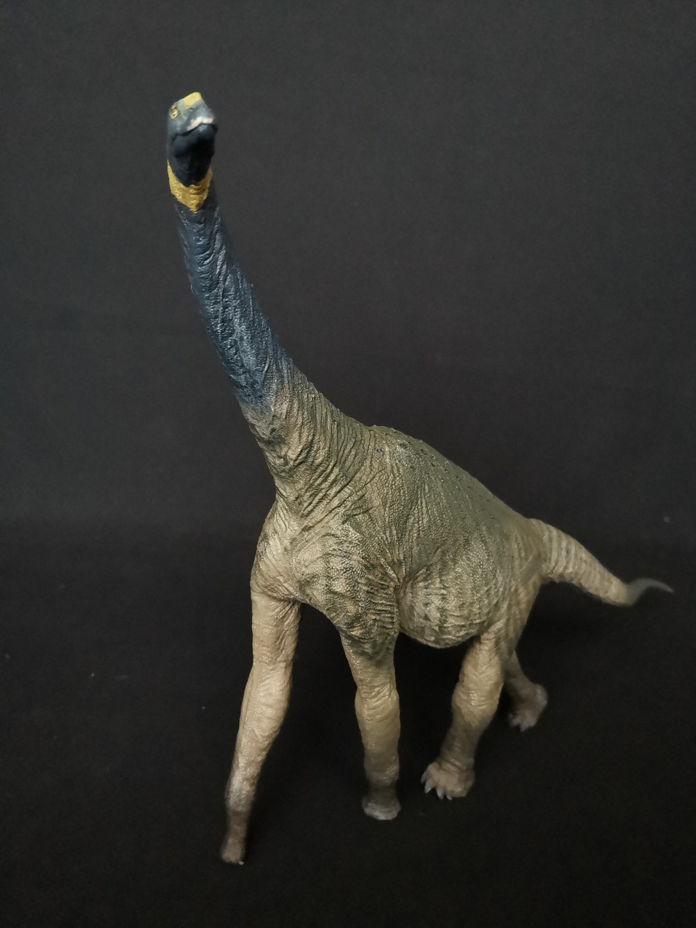IN STOCK Eofauna 1:40 Scale Atlasaurus Figure Sauropoda Dinosaur Model Toys Collector Prehistoric PVC Animal Gift for Kids Adult IN STOCK Eofauna 1:40 Scale Atlasaurus Figure Sauropoda Dinosaur Model Toys Collector Prehistoric PVC Animal Gift for Kids Adult