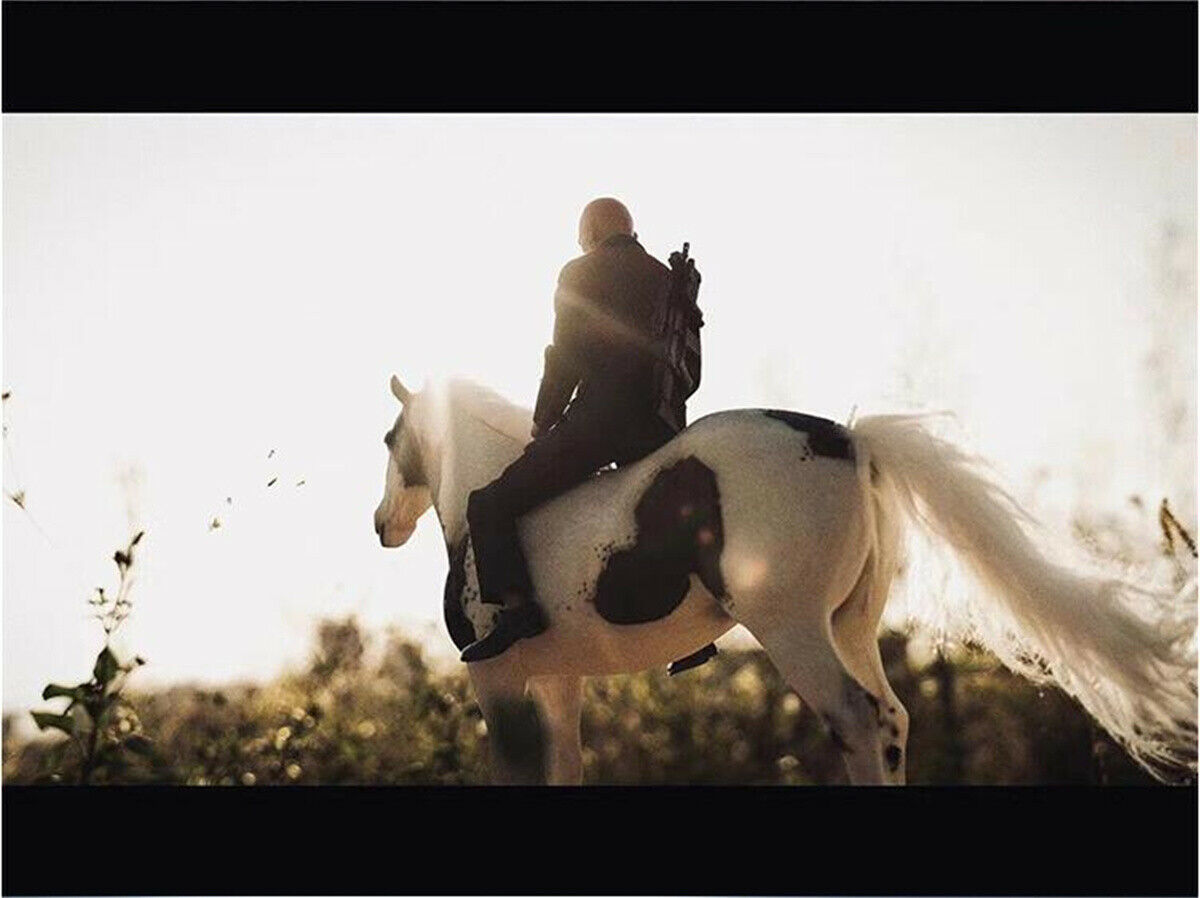 IN STOCK! JXK 1/6 American Paint Horse Model Animal Collector Decoration Unisex Kids Gift Toy Action Figure Resin Painted