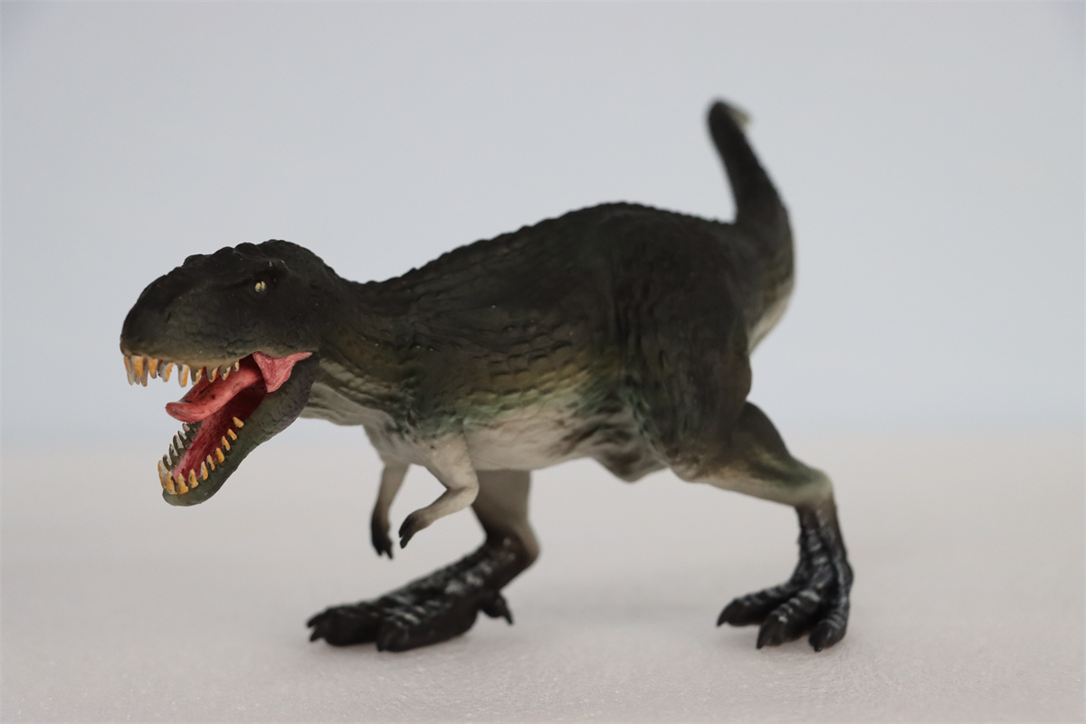 Tyrannosaurus Model Dinosaur Animal Figure T-Rex Collector Educational GK Decoration PVC Unisex Toys for Kids Gift 2022 New