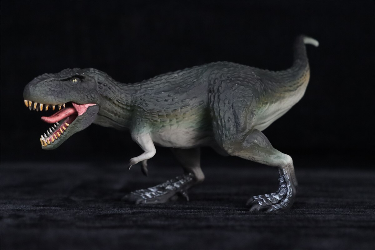 Tyrannosaurus Model Dinosaur Animal Figure T-Rex Collector Educational GK Decoration PVC Unisex Toys for Kids Gift 2022 New
