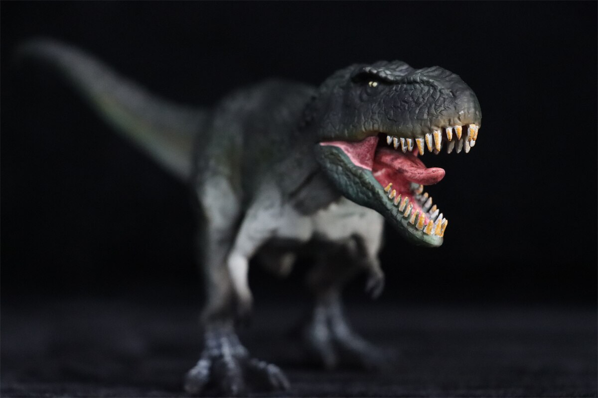 Tyrannosaurus Model Dinosaur Animal Figure T-Rex Collector Educational GK Decoration PVC Unisex Toys for Kids Gift 2022 New