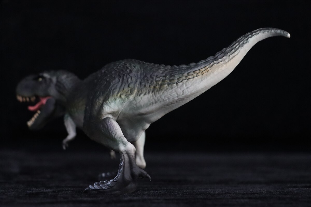 Tyrannosaurus Model Dinosaur Animal Figure T-Rex Collector Educational GK Decoration PVC Unisex Toys for Kids Gift 2022 New