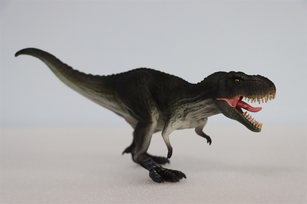 Tyrannosaurus Model Dinosaur Animal Figure T-Rex Collector Educational GK Decoration PVC Unisex Toys for Kids Gift 2022 New