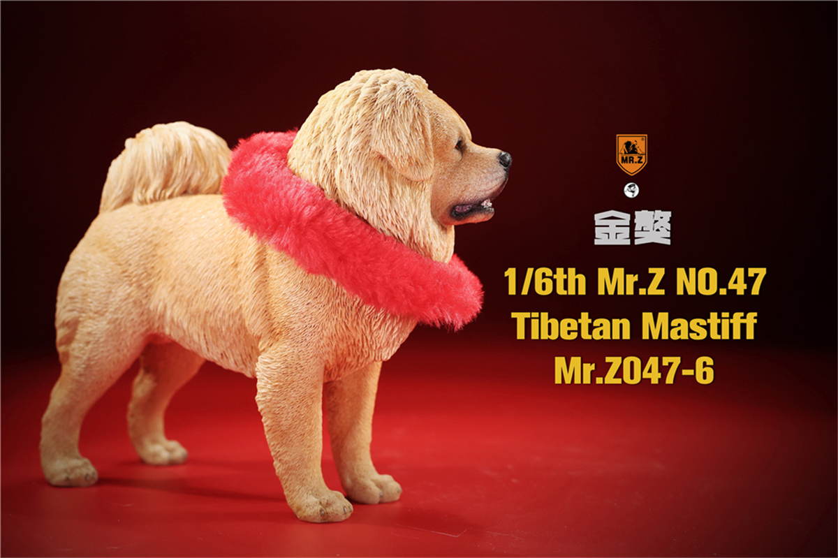 Mr.Z Studio 1:6 Tibetan Mastiff Statue Spaniel Dog Pet Healing Figure Animal Model Toy Collector Desktop Decoration Adult Gift Mr.Z Studio 1:6 Tibetan Mastiff Statue Spaniel Dog Pet Healing Figure Animal Model Toy Collector Desktop Decoration Adult Gift
