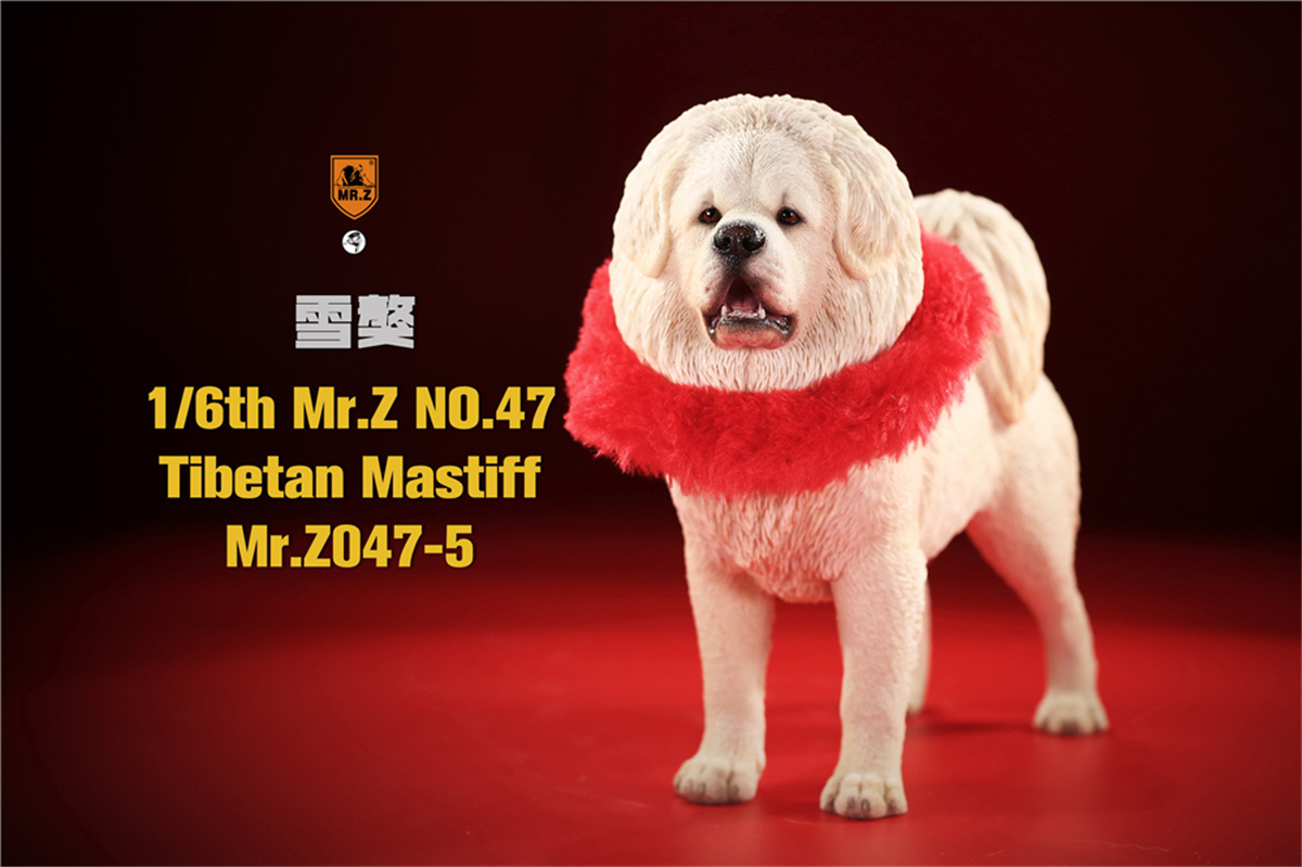 Mr.Z Studio 1:6 Tibetan Mastiff Statue Spaniel Dog Pet Healing Figure Animal Model Toy Collector Desktop Decoration Adult Gift Mr.Z Studio 1:6 Tibetan Mastiff Statue Spaniel Dog Pet Healing Figure Animal Model Toy Collector Desktop Decoration Adult Gift