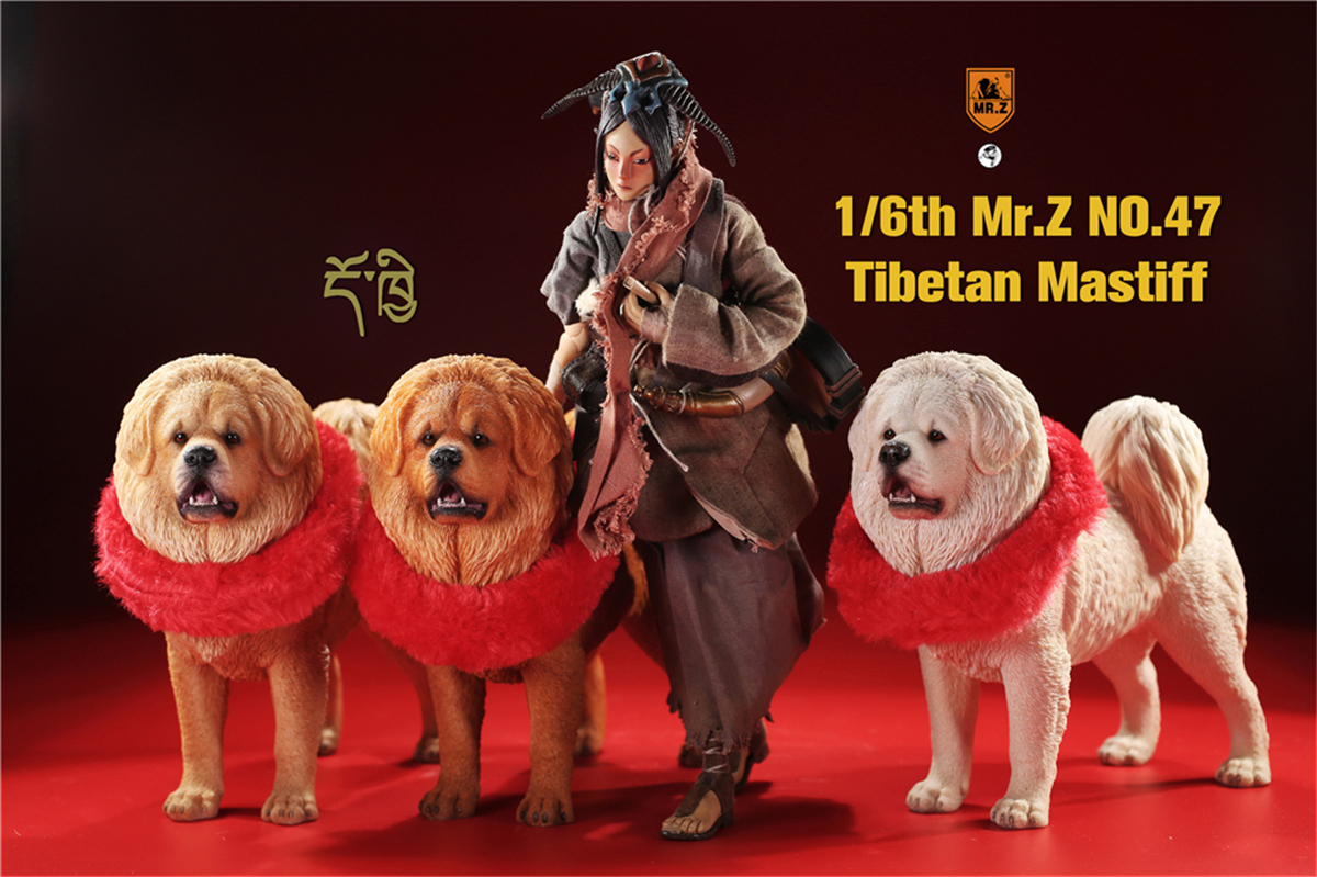 Mr.Z Studio 1:6 Tibetan Mastiff Statue Spaniel Dog Pet Healing Figure Animal Model Toy Collector Desktop Decoration Adult Gift Mr.Z Studio 1:6 Tibetan Mastiff Statue Spaniel Dog Pet Healing Figure Animal Model Toy Collector Desktop Decoration Adult Gift