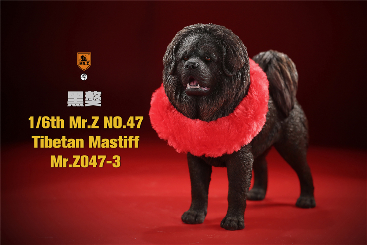 Mr.Z Studio 1:6 Tibetan Mastiff Statue Spaniel Dog Pet Healing Figure Animal Model Toy Collector Desktop Decoration Adult Gift Mr.Z Studio 1:6 Tibetan Mastiff Statue Spaniel Dog Pet Healing Figure Animal Model Toy Collector Desktop Decoration Adult Gift