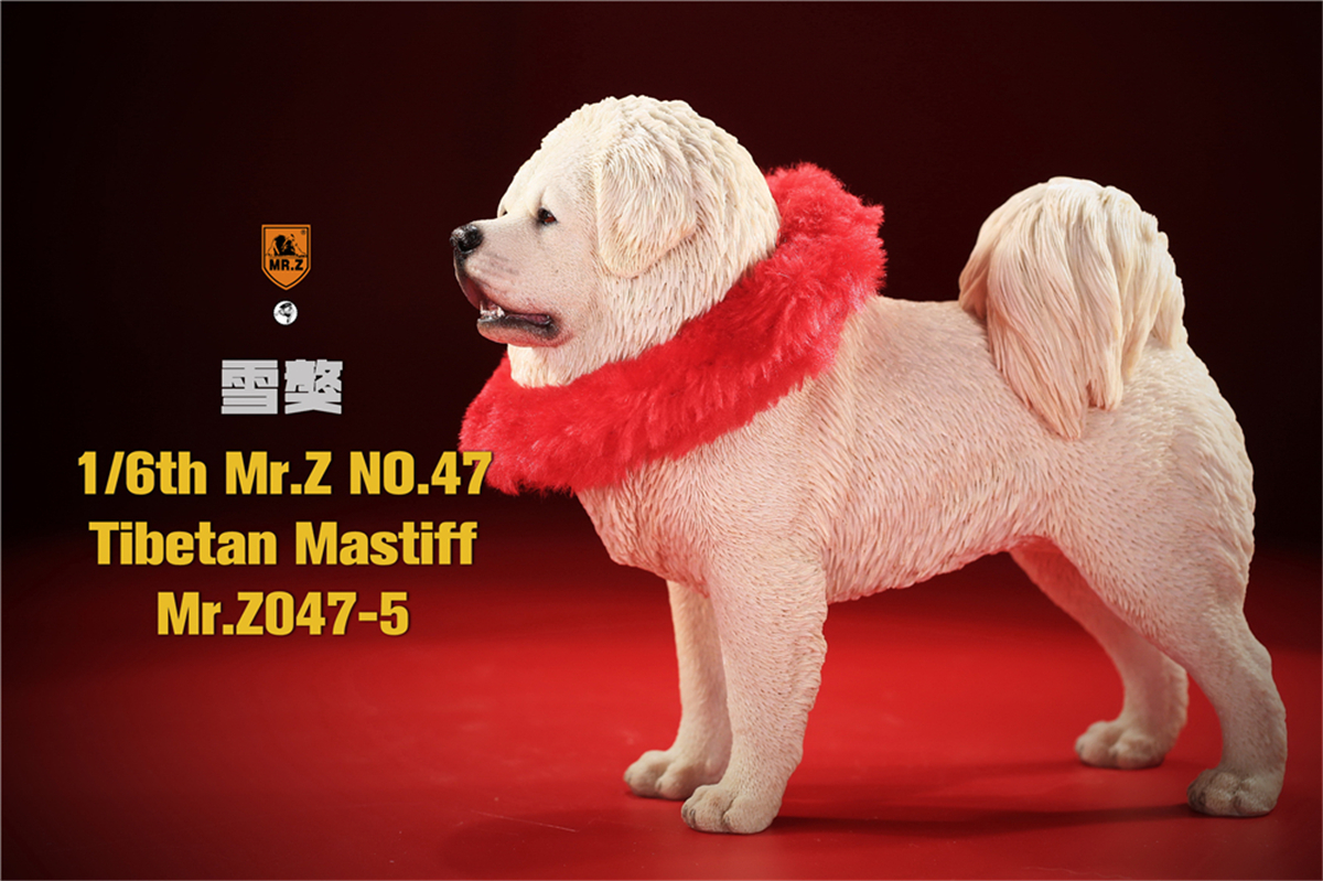Mr.Z Studio 1:6 Tibetan Mastiff Statue Spaniel Dog Pet Healing Figure Animal Model Toy Collector Desktop Decoration Adult Gift Mr.Z Studio 1:6 Tibetan Mastiff Statue Spaniel Dog Pet Healing Figure Animal Model Toy Collector Desktop Decoration Adult Gift