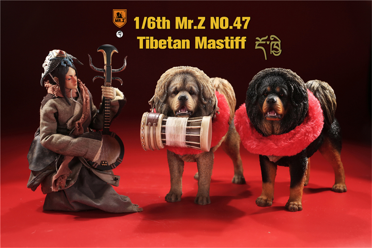 Mr.Z Studio 1:6 Tibetan Mastiff Statue Spaniel Dog Pet Healing Figure Animal Model Toy Collector Desktop Decoration Adult Gift Mr.Z Studio 1:6 Tibetan Mastiff Statue Spaniel Dog Pet Healing Figure Animal Model Toy Collector Desktop Decoration Adult Gift
