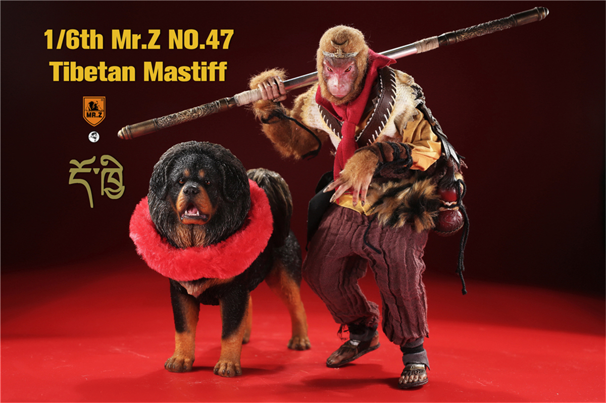 Mr.Z Studio 1:6 Tibetan Mastiff Statue Spaniel Dog Pet Healing Figure Animal Model Toy Collector Desktop Decoration Adult Gift Mr.Z Studio 1:6 Tibetan Mastiff Statue Spaniel Dog Pet Healing Figure Animal Model Toy Collector Desktop Decoration Adult Gift