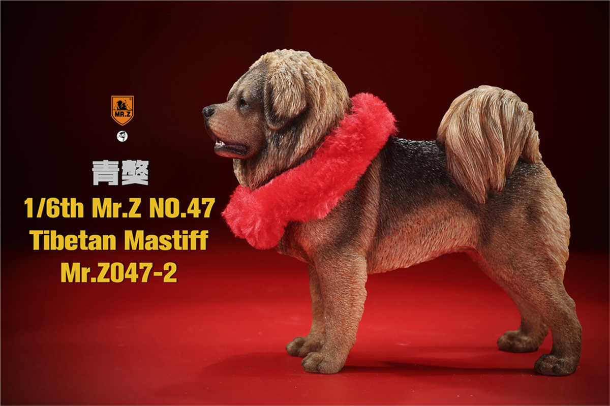 Mr.Z Studio 1:6 Tibetan Mastiff Statue Spaniel Dog Pet Healing Figure Animal Model Toy Collector Desktop Decoration Adult Gift Mr.Z Studio 1:6 Tibetan Mastiff Statue Spaniel Dog Pet Healing Figure Animal Model Toy Collector Desktop Decoration Adult Gift