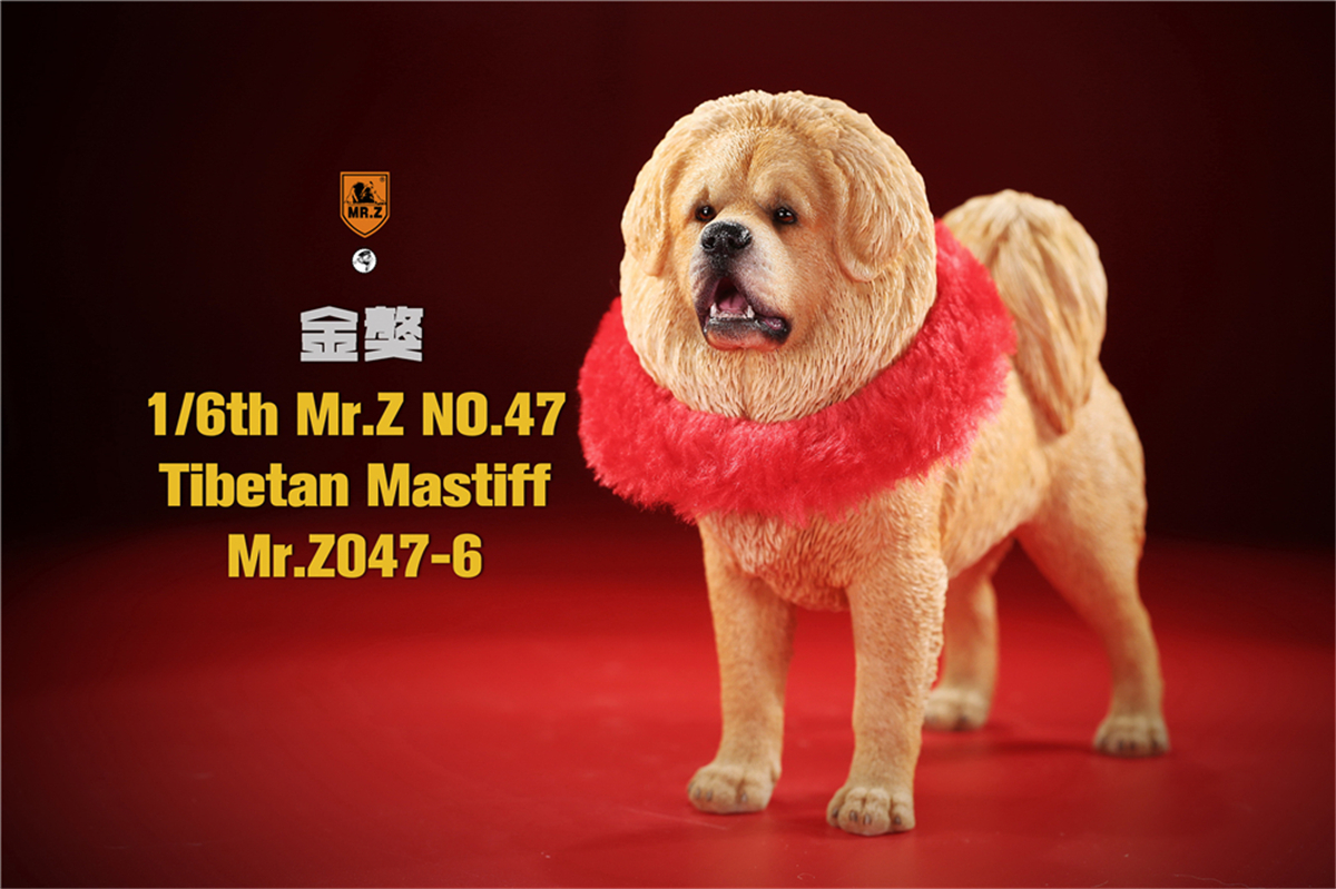 Mr.Z Studio 1:6 Tibetan Mastiff Statue Spaniel Dog Pet Healing Figure Animal Model Toy Collector Desktop Decoration Adult Gift Mr.Z Studio 1:6 Tibetan Mastiff Statue Spaniel Dog Pet Healing Figure Animal Model Toy Collector Desktop Decoration Adult Gift