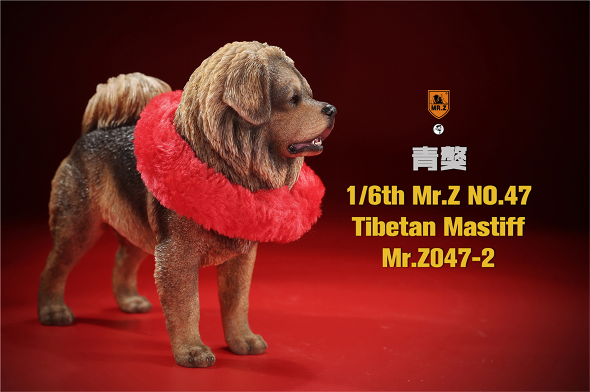 Mr.Z Studio 1:6 Tibetan Mastiff Statue Spaniel Dog Pet Healing Figure Animal Model Toy Collector Desktop Decoration Adult Gift Mr.Z Studio 1:6 Tibetan Mastiff Statue Spaniel Dog Pet Healing Figure Animal Model Toy Collector Desktop Decoration Adult Gift