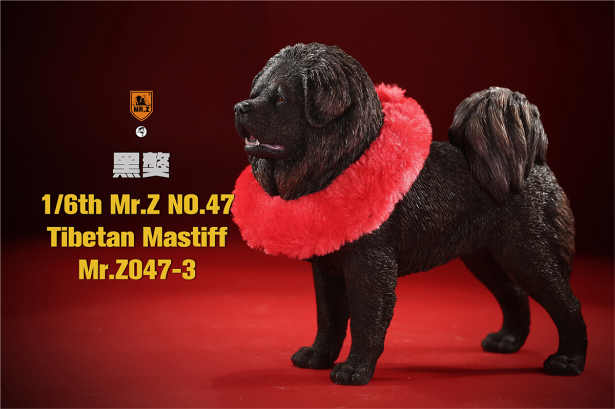 Mr.Z Studio 1:6 Tibetan Mastiff Statue Spaniel Dog Pet Healing Figure Animal Model Toy Collector Desktop Decoration Adult Gift Mr.Z Studio 1:6 Tibetan Mastiff Statue Spaniel Dog Pet Healing Figure Animal Model Toy Collector Desktop Decoration Adult Gift
