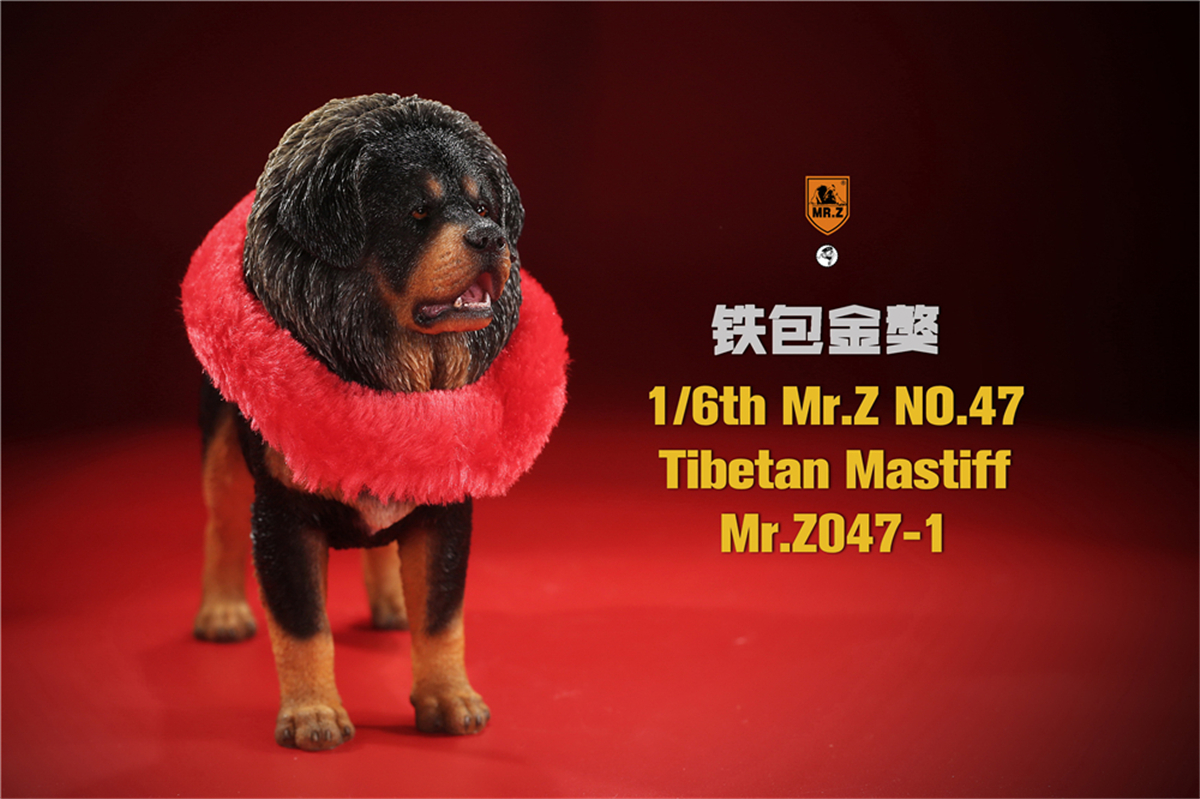 Mr.Z Studio 1:6 Tibetan Mastiff Statue Spaniel Dog Pet Healing Figure Animal Model Toy Collector Desktop Decoration Adult Gift Mr.Z Studio 1:6 Tibetan Mastiff Statue Spaniel Dog Pet Healing Figure Animal Model Toy Collector Desktop Decoration Adult Gift