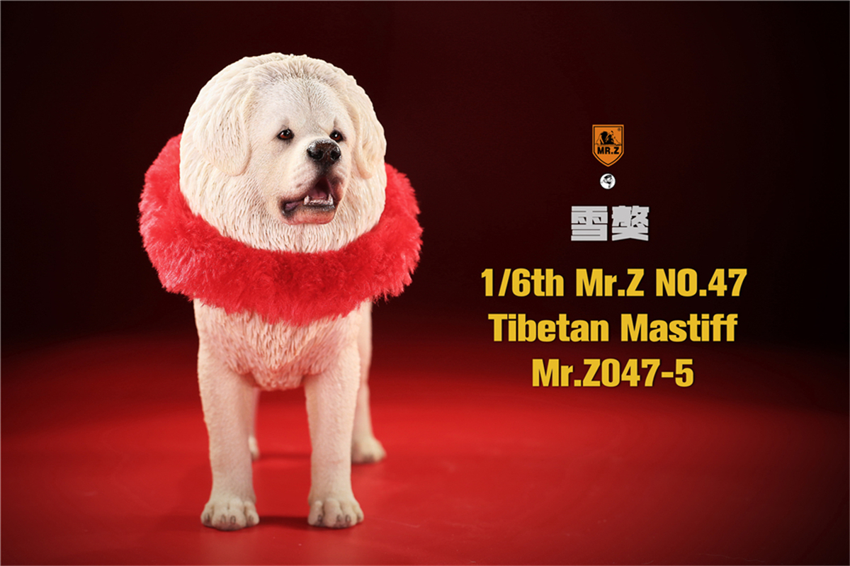 Mr.Z Studio 1:6 Tibetan Mastiff Statue Spaniel Dog Pet Healing Figure Animal Model Toy Collector Desktop Decoration Adult Gift Mr.Z Studio 1:6 Tibetan Mastiff Statue Spaniel Dog Pet Healing Figure Animal Model Toy Collector Desktop Decoration Adult Gift