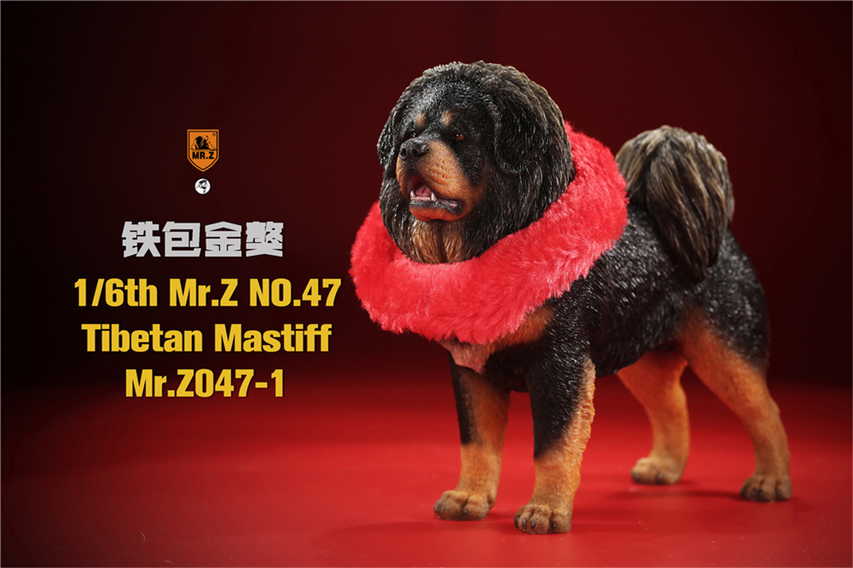 Mr.Z Studio 1:6 Tibetan Mastiff Statue Spaniel Dog Pet Healing Figure Animal Model Toy Collector Desktop Decoration Adult Gift Mr.Z Studio 1:6 Tibetan Mastiff Statue Spaniel Dog Pet Healing Figure Animal Model Toy Collector Desktop Decoration Adult Gift