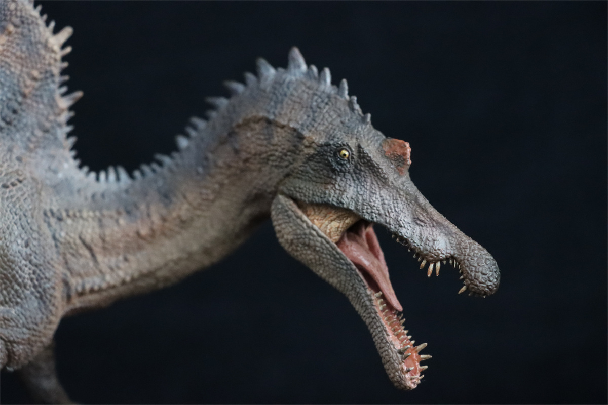 PNSO Spinosaurus Essien 1:35 Scientific Art Model Figure Animal Collector Dinosaur Museums Series Education Decor New Painted PNSO Spinosaurus Essien 1:35 Scientific Art Model Figure Animal Collector Dinosaur Museums Series Education Decor New Painted