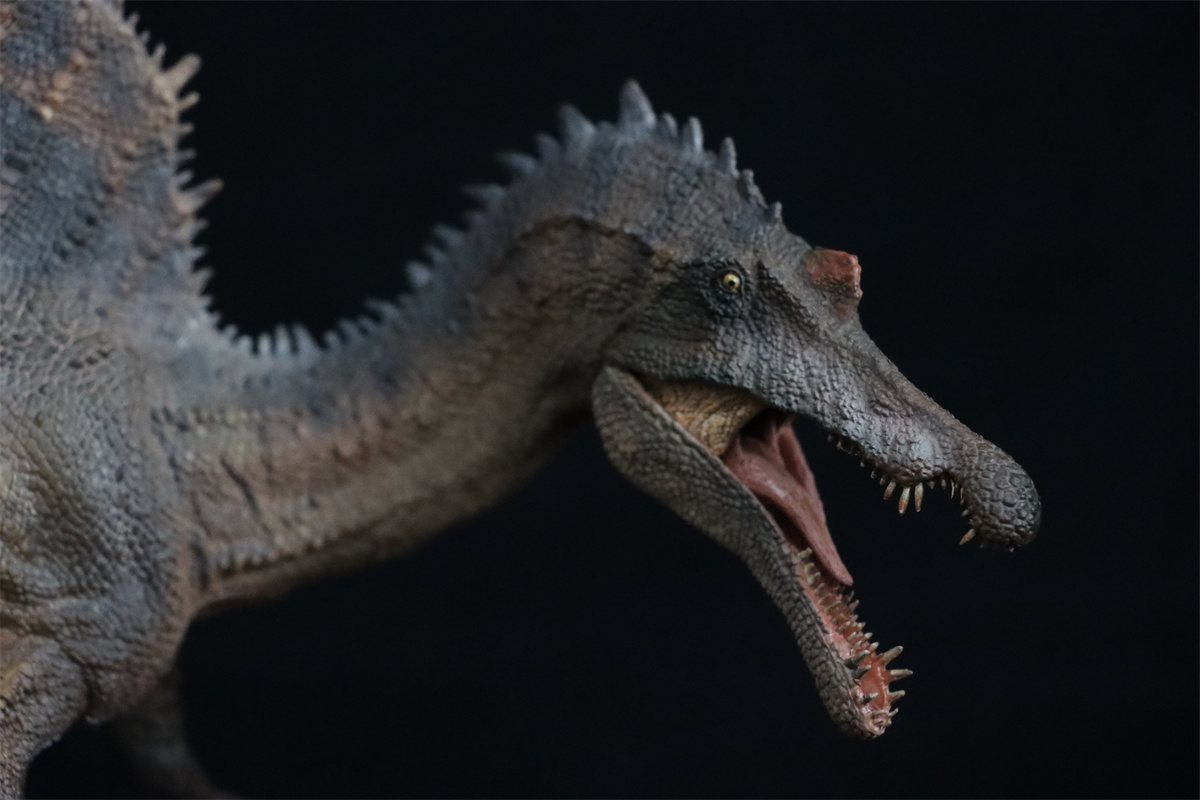 PNSO Spinosaurus Essien 1:35 Scientific Art Model Figure Animal Collector Dinosaur Museums Series Education Decor New Painted PNSO Spinosaurus Essien 1:35 Scientific Art Model Figure Animal Collector Dinosaur Museums Series Education Decor New Painted