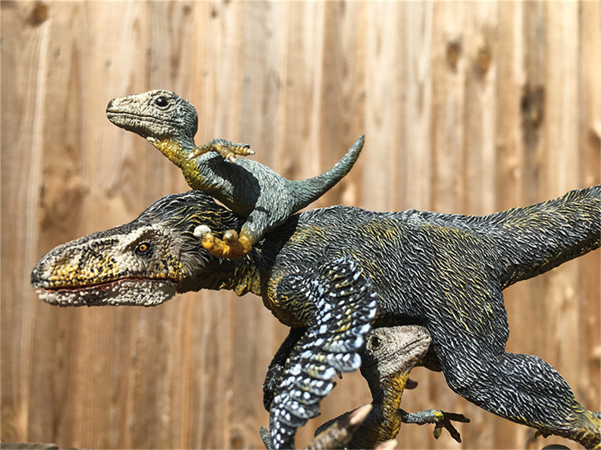 REBOR Baby Utahraptor Breeze Baby Velociraptor Stan Dinosaur Model Animal Decor Figure Toys for Children Collector Xmas Kid Gift REBOR Baby Utahraptor Breeze Baby Velociraptor Stan Dinosaur Model Animal Decor Figure Toys for Children Collector Xmas Kid Gift