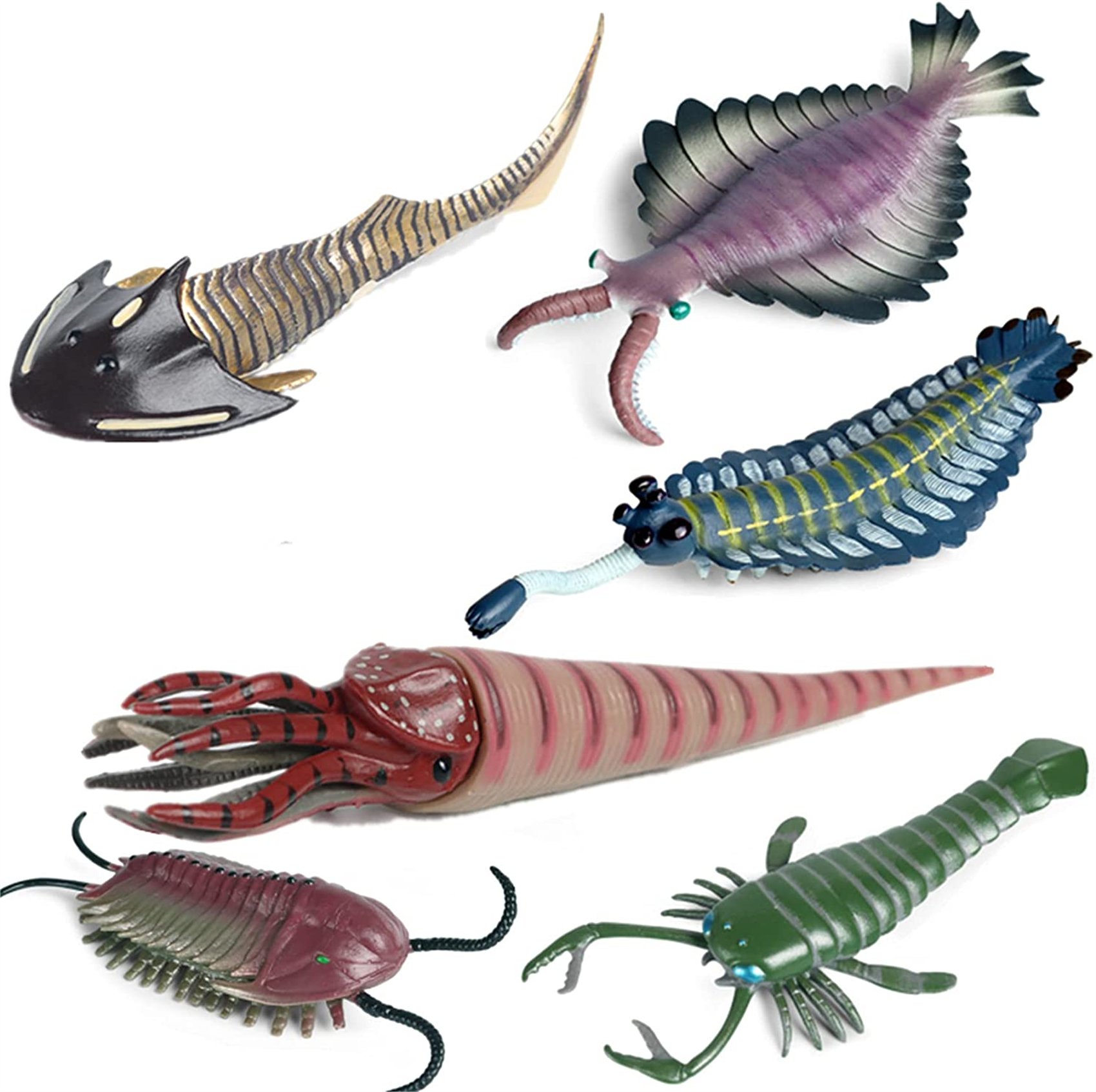 6Pcs Marine Animal Figure Cephalaspis Eurypterus Trilobita Anomalocaris Opabinia Orthoceras Simulation Educational Toy 6Pcs Marine Animal Figure Cephalaspis Eurypterus Trilobita Anomalocaris Opabinia Orthoceras Simulation Educational Toy