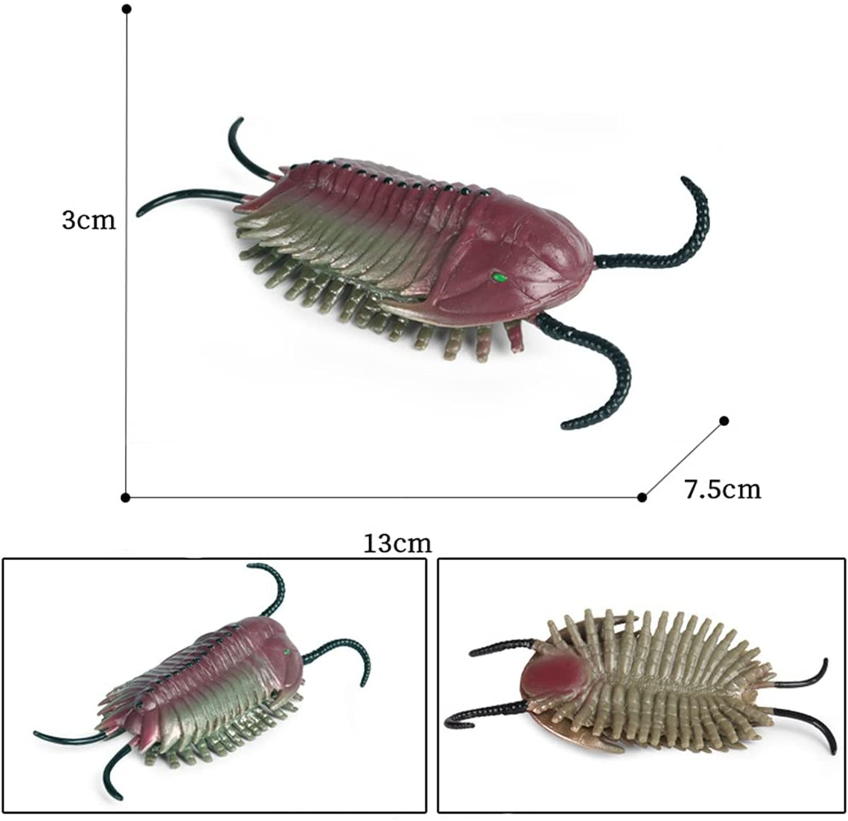 6Pcs Marine Animal Figure Cephalaspis Eurypterus Trilobita Anomalocaris ...