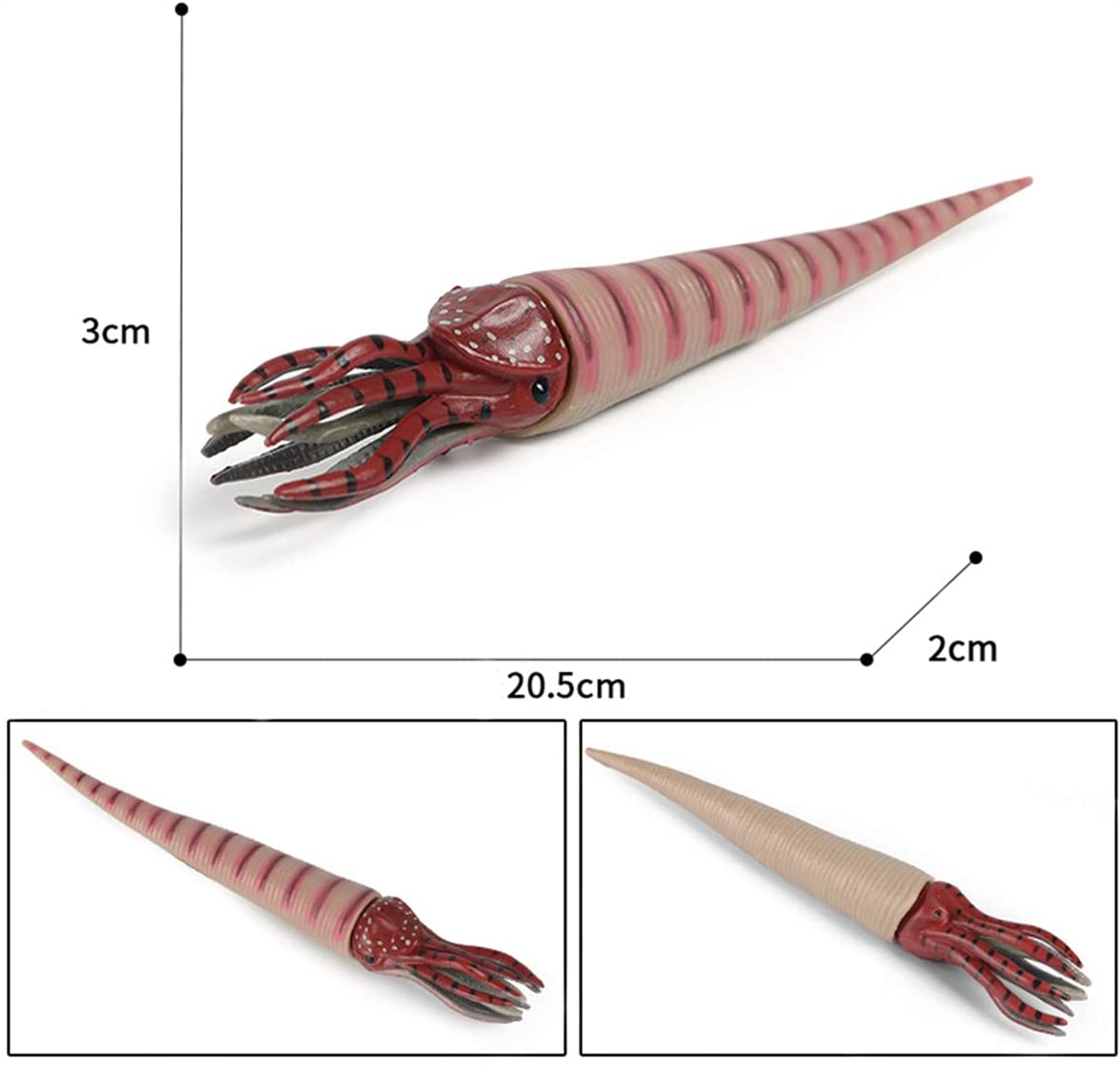 6Pcs Marine Animal Figure Cephalaspis Eurypterus Trilobita Anomalocaris Opabinia Orthoceras Simulation Educational Toy 6Pcs Marine Animal Figure Cephalaspis Eurypterus Trilobita Anomalocaris Opabinia Orthoceras Simulation Educational Toy