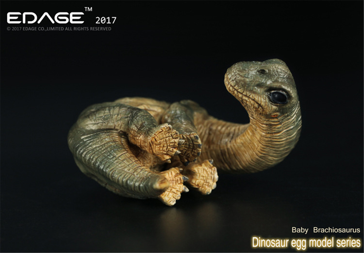 EDAGE Brachiosaurus Baby Egg Figure Dinosaur Toys Animal Collector Decoration Adults Gift