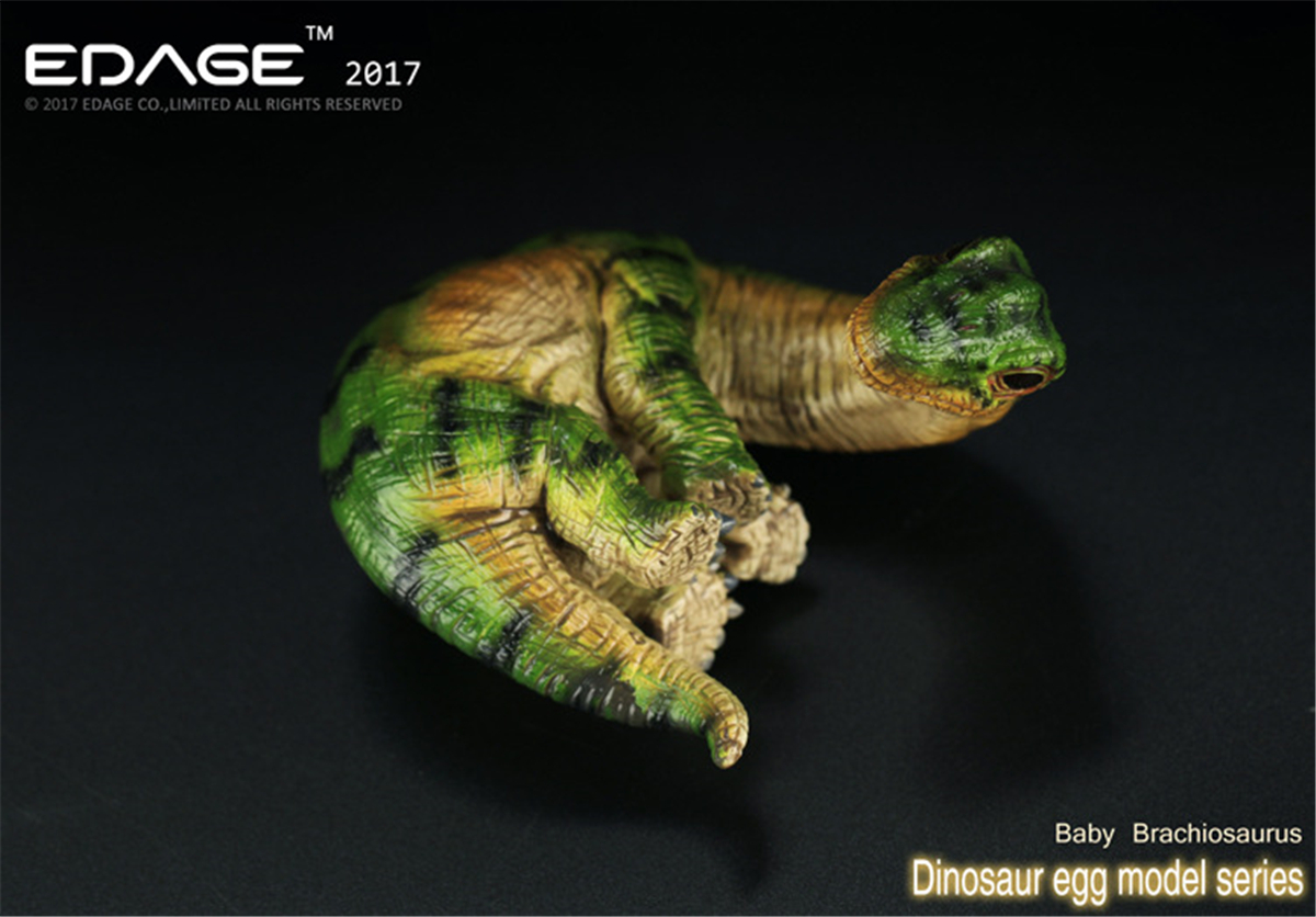 EDAGE Brachiosaurus Baby Egg Figure Dinosaur Toys Animal Collector Decoration Adults Gift