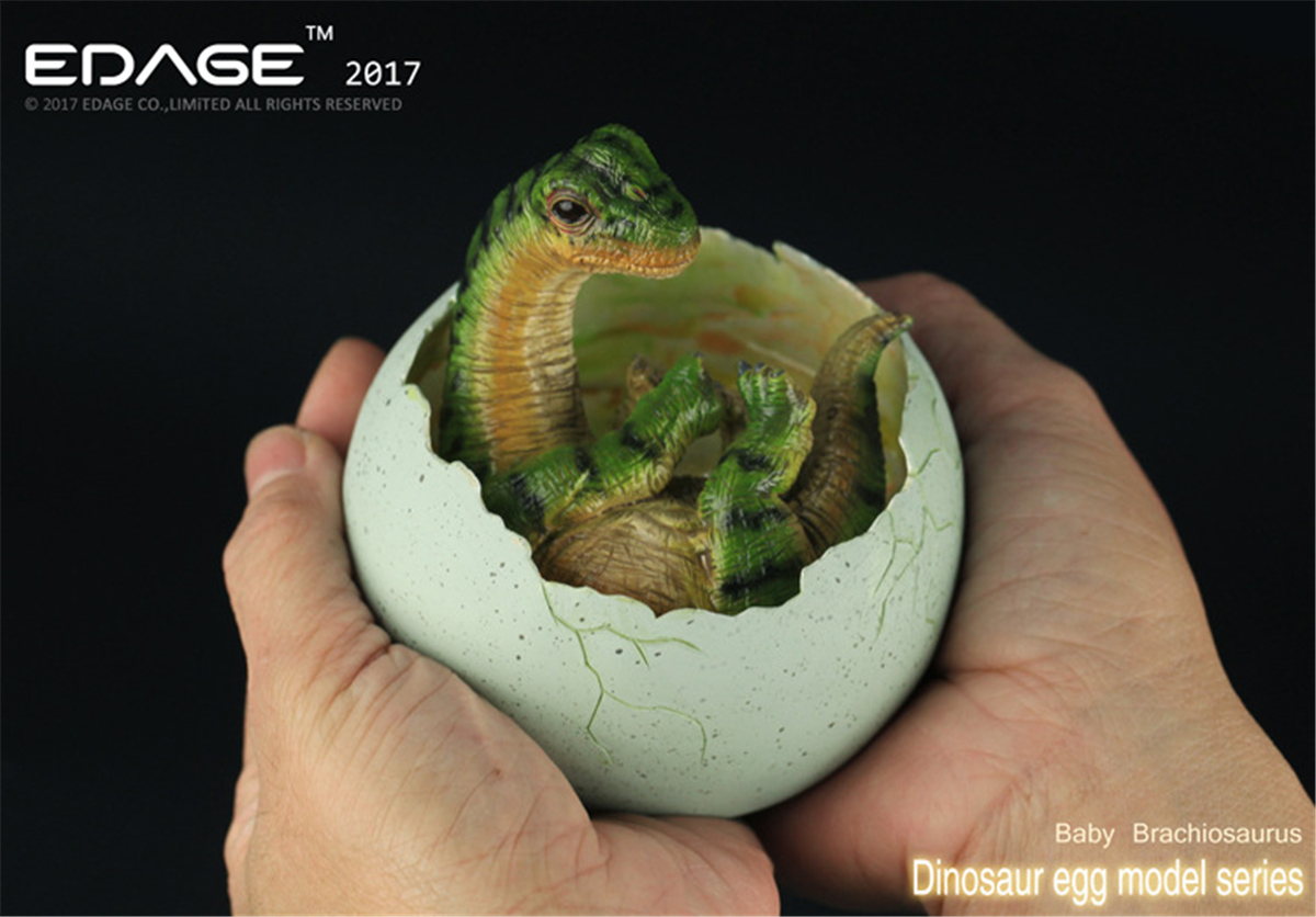 EDAGE Brachiosaurus Baby Egg Figure Dinosaur Toys Animal Collector Decoration Adults Gift