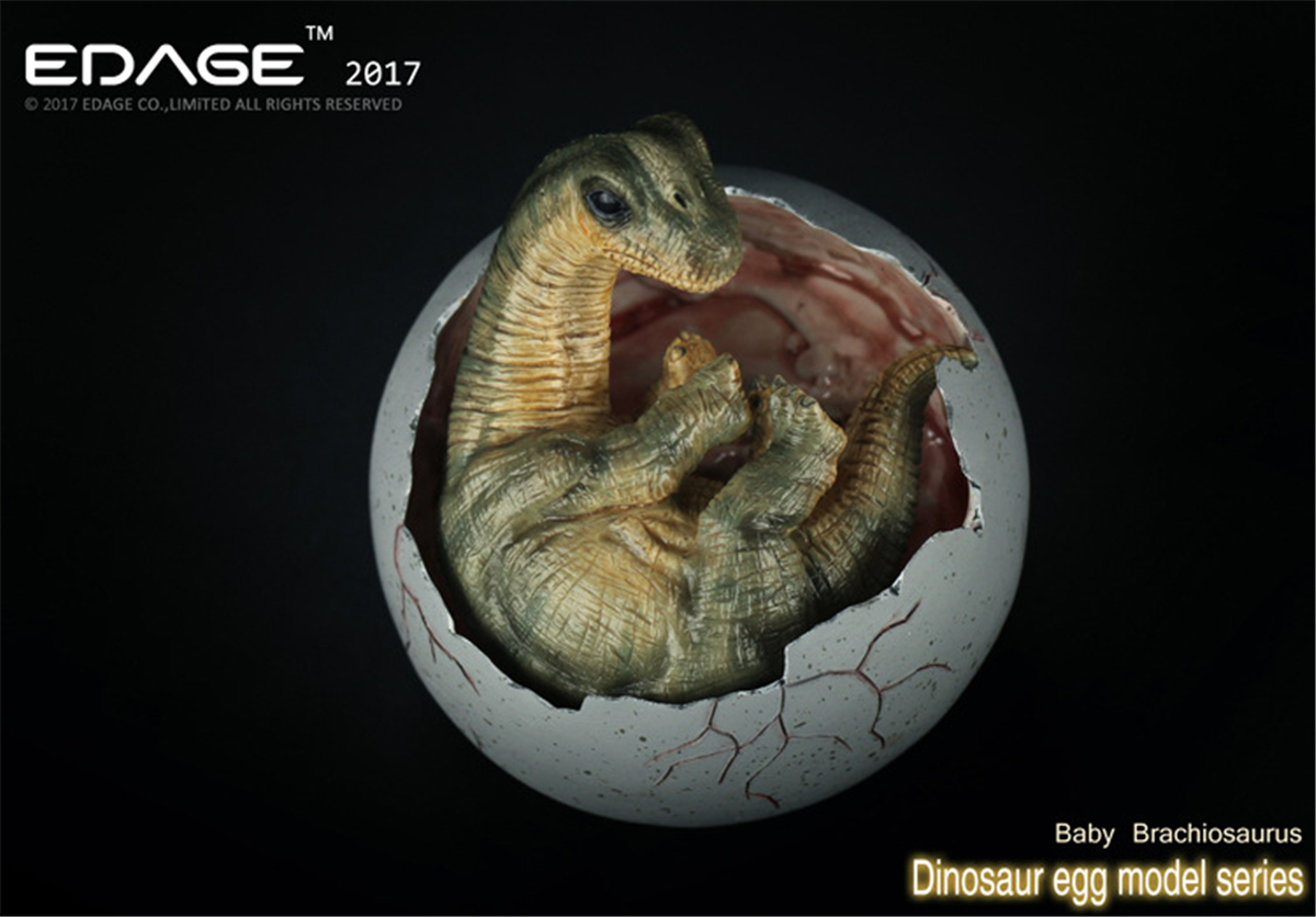 EDAGE Brachiosaurus Baby Egg Figure Dinosaur Toys Animal Collector Decoration Adults Gift