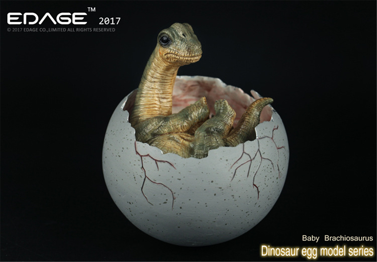 EDAGE Brachiosaurus Baby Egg Figure Dinosaur Toys Animal Collector Decoration Adults Gift