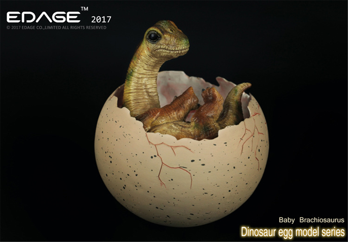 EDAGE Brachiosaurus Baby Egg Figure Dinosaur Toys Animal Collector Decoration Adults Gift
