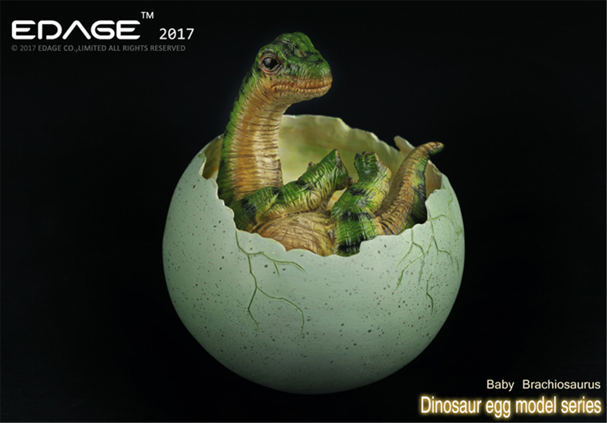 EDAGE Brachiosaurus Baby Egg Figure Dinosaur Toys Animal Collector Decoration Adults Gift