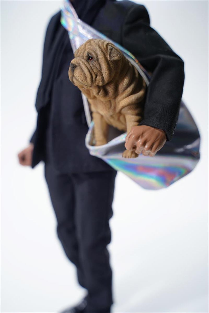 JXK 1/6 Sharpei Dog Model Cute Pet Animal Figure Collector Decoration Ornament Toys for Children Adult Kids Gift Unisex IN STOCK JXK 1/6 Sharpei Dog Model Cute Pet Animal Figure Collector Decoration Ornament Toys for Children Adult Kids Gift Unisex IN STOCK