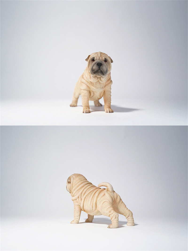 JXK 1/6 Sharpei Dog Model Cute Pet Animal Figure Collector Decoration Ornament Toys for Children Adult Kids Gift Unisex IN STOCK JXK 1/6 Sharpei Dog Model Cute Pet Animal Figure Collector Decoration Ornament Toys for Children Adult Kids Gift Unisex IN STOCK