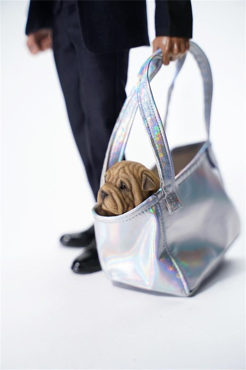 JXK 1/6 Sharpei Dog Model Cute Pet Animal Figure Collector Decoration Ornament Toys for Children Adult Kids Gift Unisex IN STOCK JXK 1/6 Sharpei Dog Model Cute Pet Animal Figure Collector Decoration Ornament Toys for Children Adult Kids Gift Unisex IN STOCK