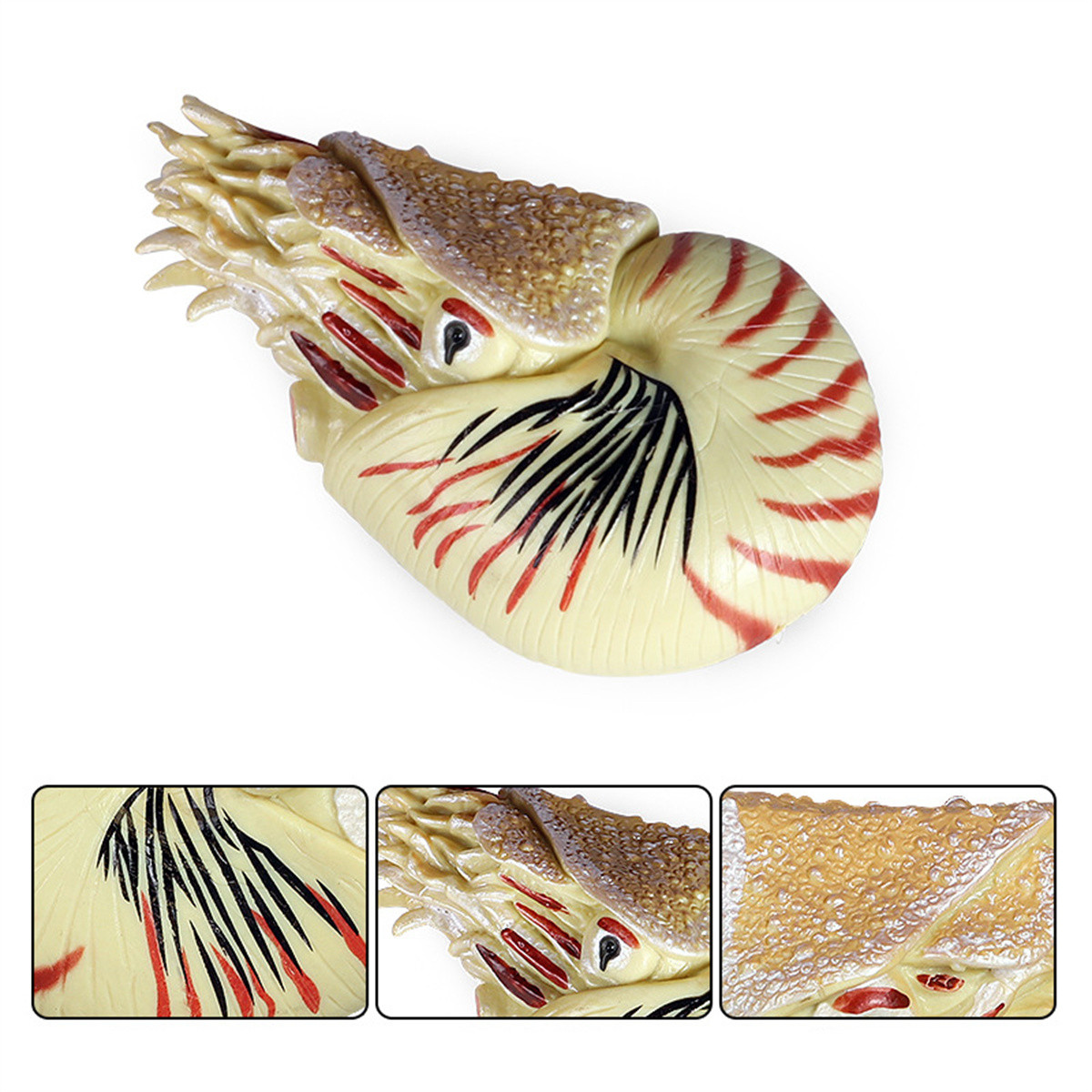 Nautilus Figure Ancient Creatures PVC Collector Fish Tank Scene Decoration Gift Classic Ocean Sea Snail Animals Model Kids Toy
