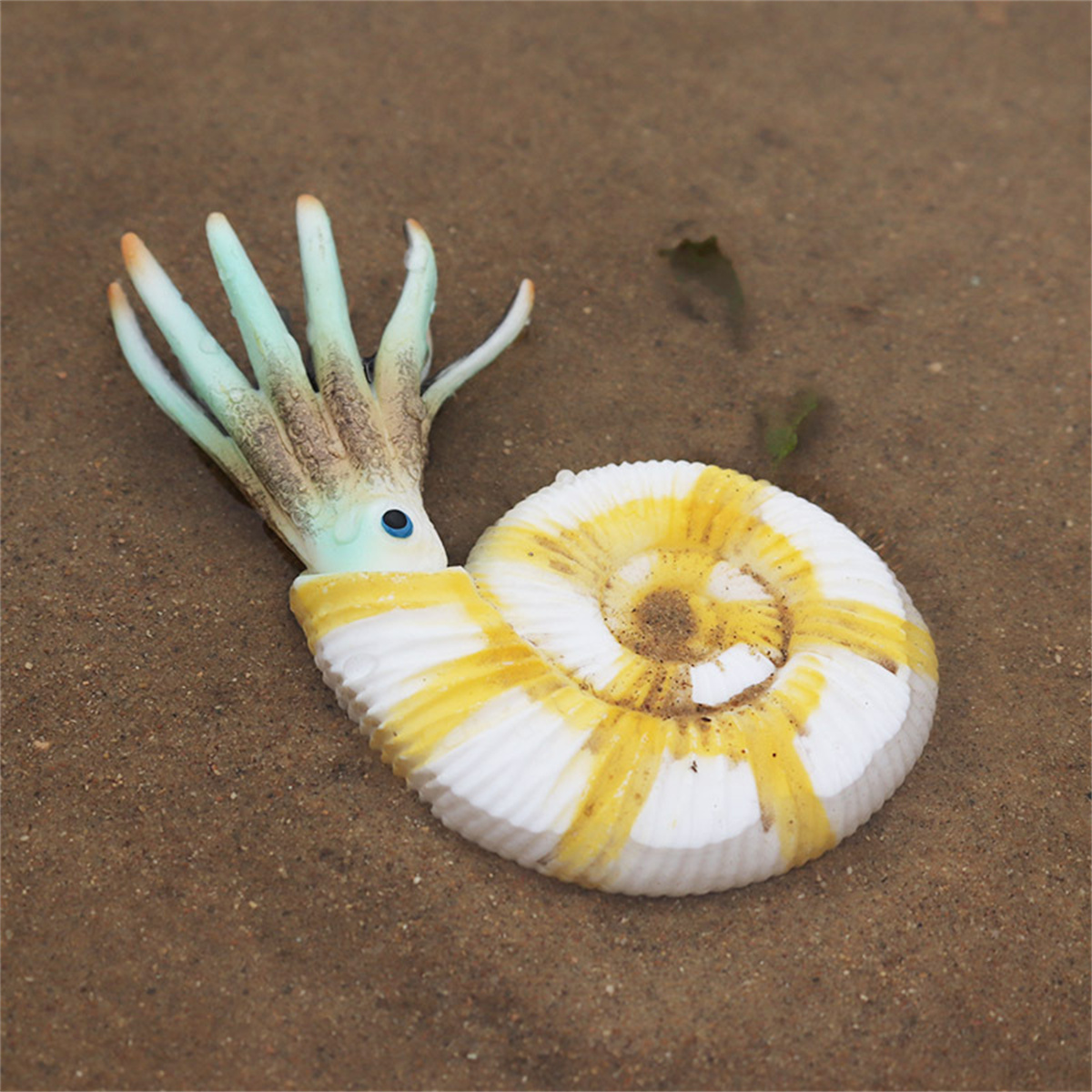 Nautilus Figure Ancient Creatures PVC Collector Fish Tank Scene Decoration Gift Classic Ocean Sea Snail Animals Model Kids Toy