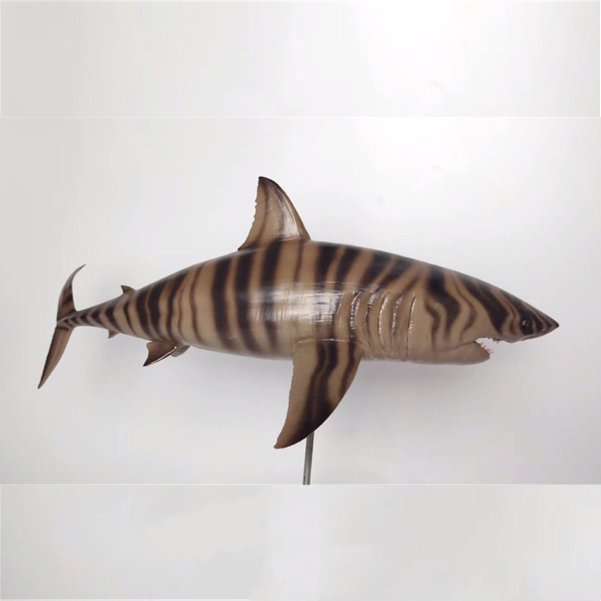 Rheic 1/35 Cretoxyrhina Model Ocean Cretaceous Shark Animal Educational for Children Collector Toy Collector Decoration