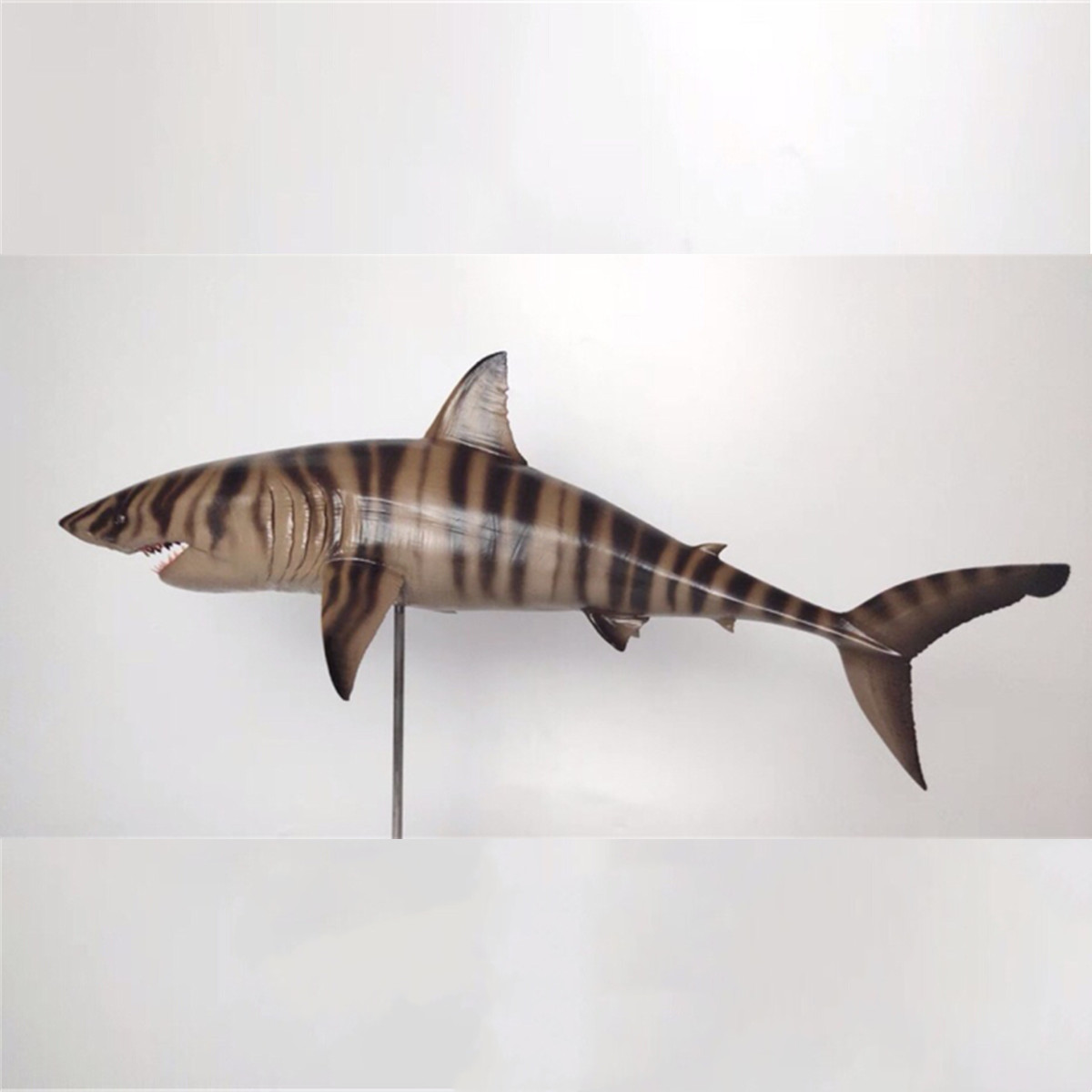 Rheic 1/35 Cretoxyrhina Model Ocean Cretaceous Shark Animal Educational for Children Collector Toy Collector Decoration