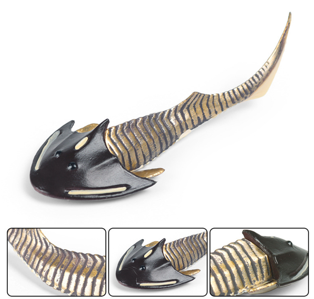 Cephalaspis Figure Fish-shaped Animal Model Decor Collector Kids Gift Toy Sea Life Simulation Figure Educational Collection Cephalaspis Figure Fish-shaped Animal Model Decor Collector Kids Gift Toy Sea Life Simulation Figure Educational Collection