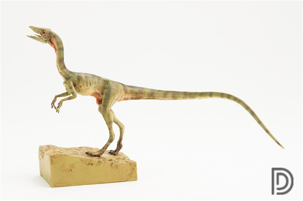 DINO DREAM 1:5 Scale Female Compsognathus Coelophysidae Dinosaur Model Collector Animal Adult Toy Gift