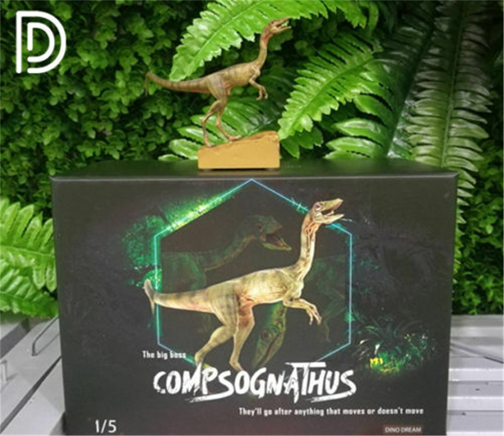 DINO DREAM 1:5 Scale Female Compsognathus Coelophysidae Dinosaur Model Collector Animal Adult Toy Gift