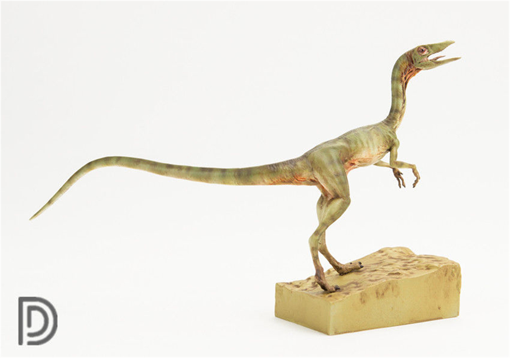DINO DREAM 1:5 Scale Female Compsognathus Coelophysidae Dinosaur Model Collector Animal Adult Toy Gift