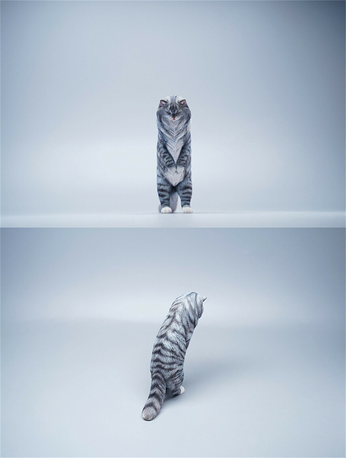 JXK 1/6 Maine Coon Model Animal Cute Cat Funny Collector Realistic Photo Props Soldier Decor Kids Educational Gift Toy In Stock