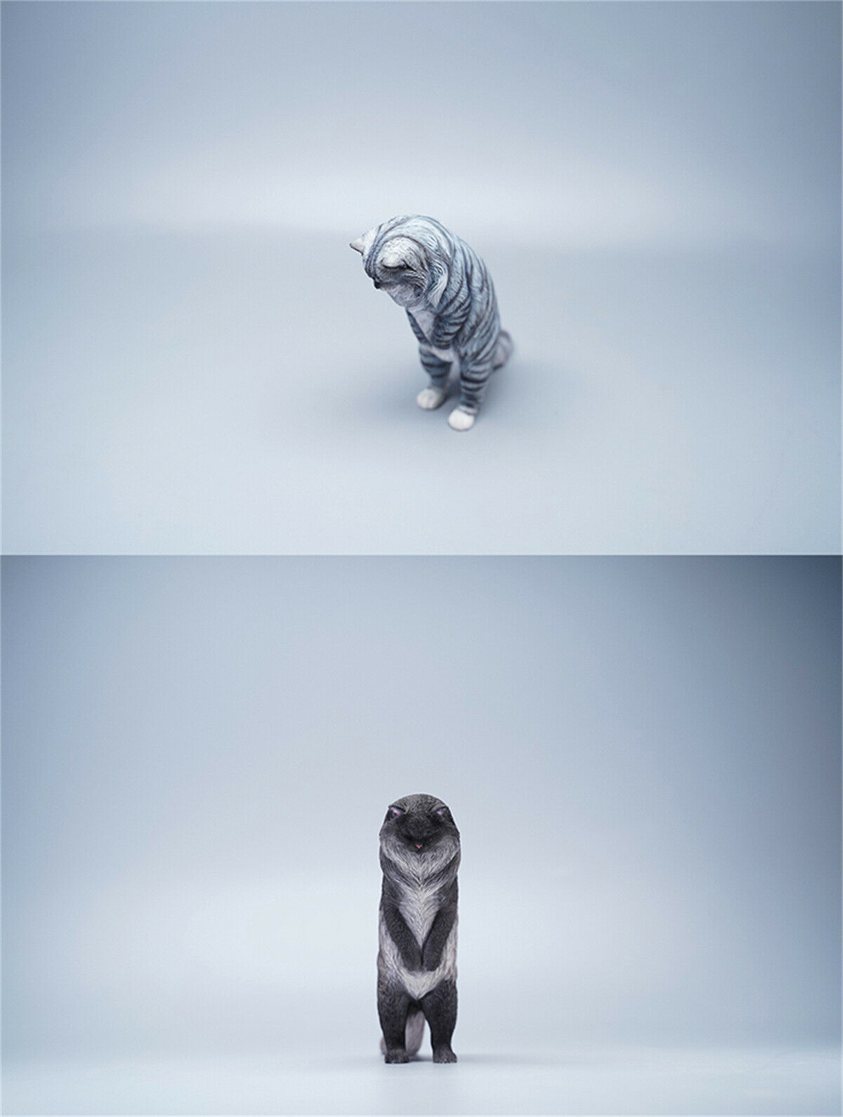 JXK 1/6 Maine Coon Model Animal Cute Cat Funny Collector Realistic Photo Props Soldier Decor Kids Educational Gift Toy In Stock