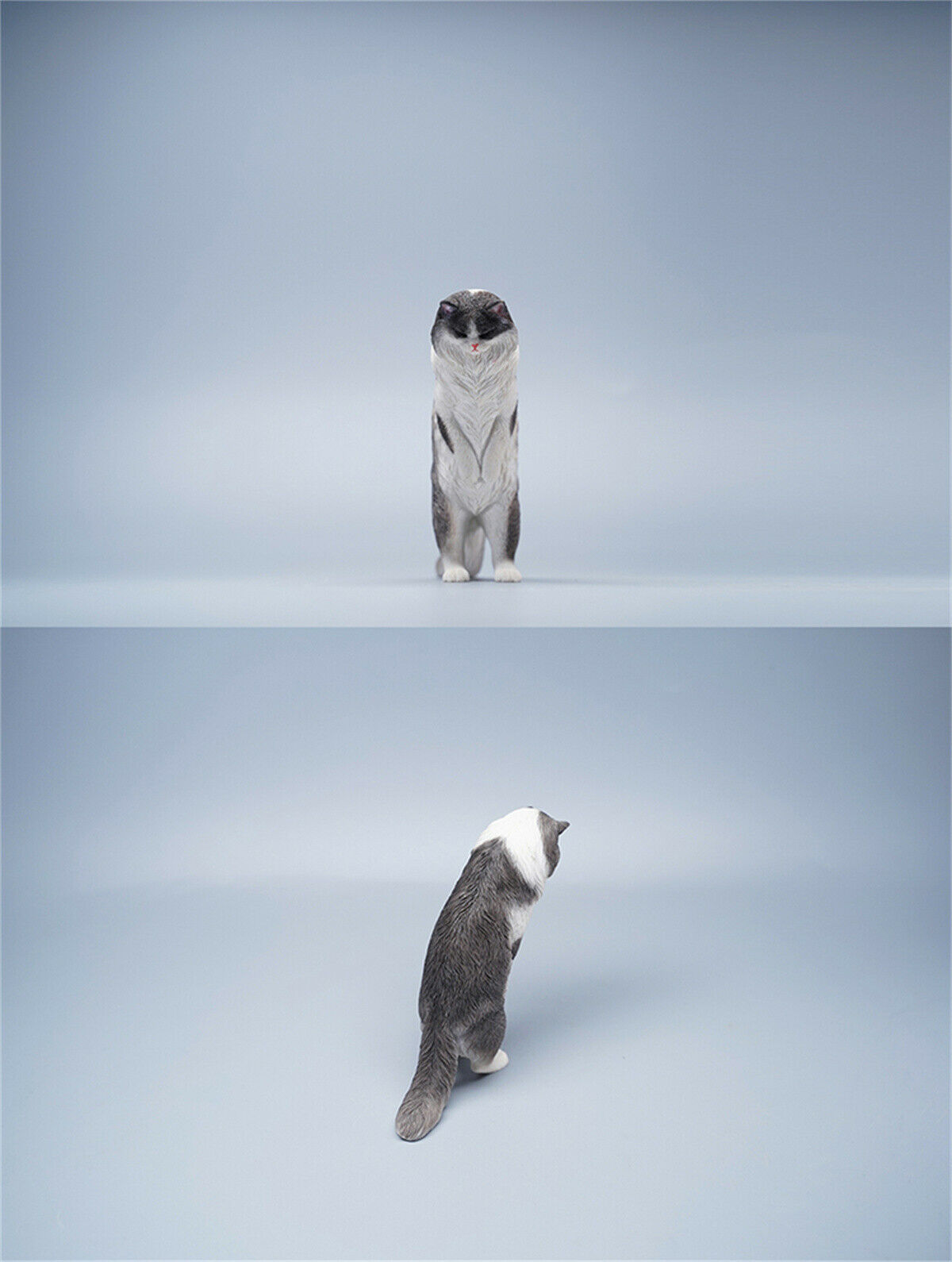 JXK 1/6 Maine Coon Model Animal Cute Cat Funny Collector Realistic Photo Props Soldier Decor Kids Educational Gift Toy In Stock