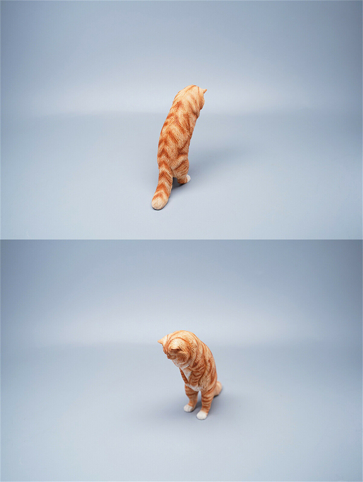 JXK 1/6 Maine Coon Model Animal Cute Cat Funny Collector Realistic Photo Props Soldier Decor Kids Educational Gift Toy In Stock